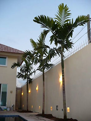 Coutinho Plantas / Shop das mesas